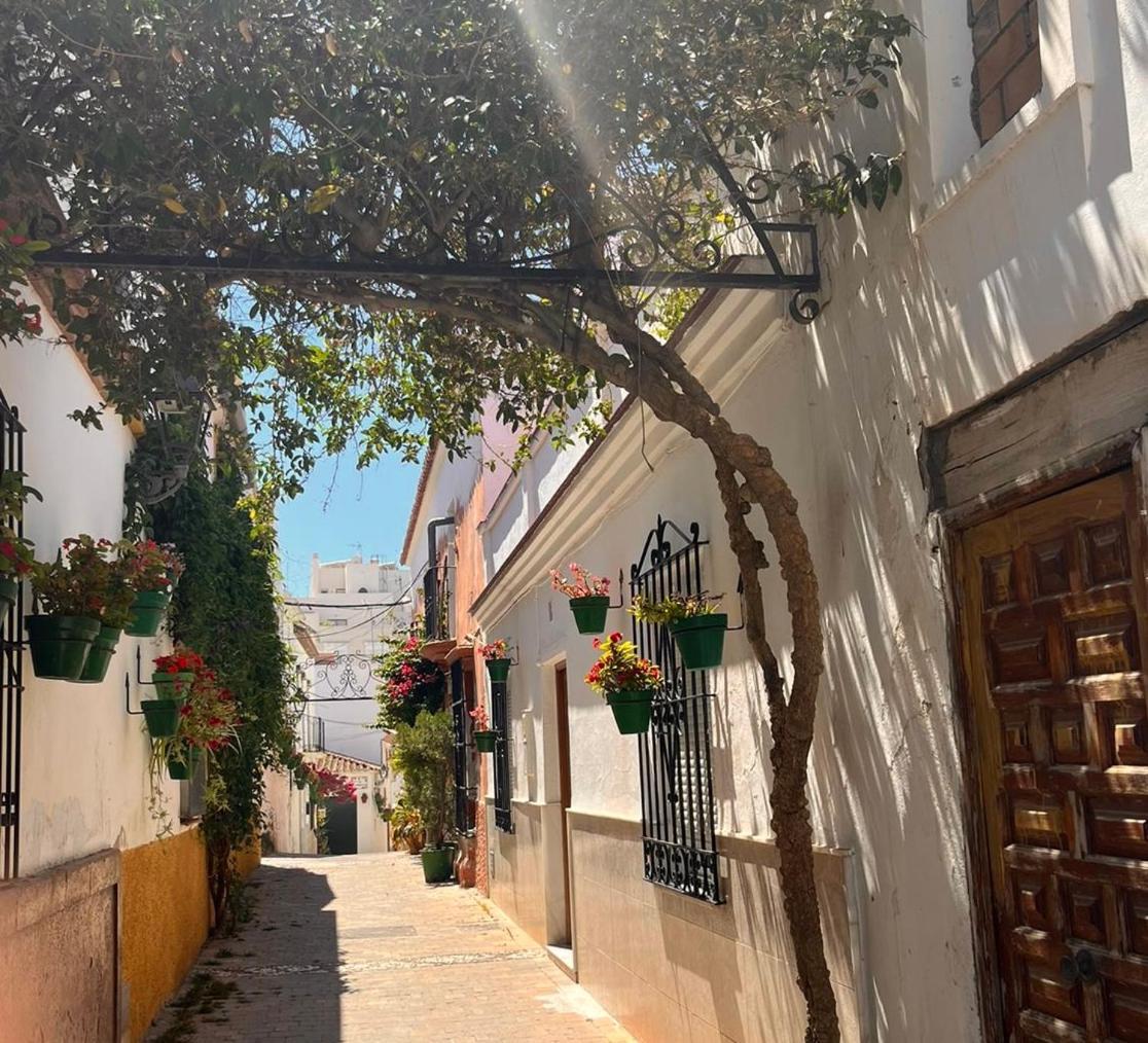 Casita Rustica En El Mar