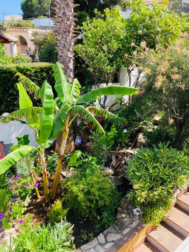 Villa Puro Mar Y Sol