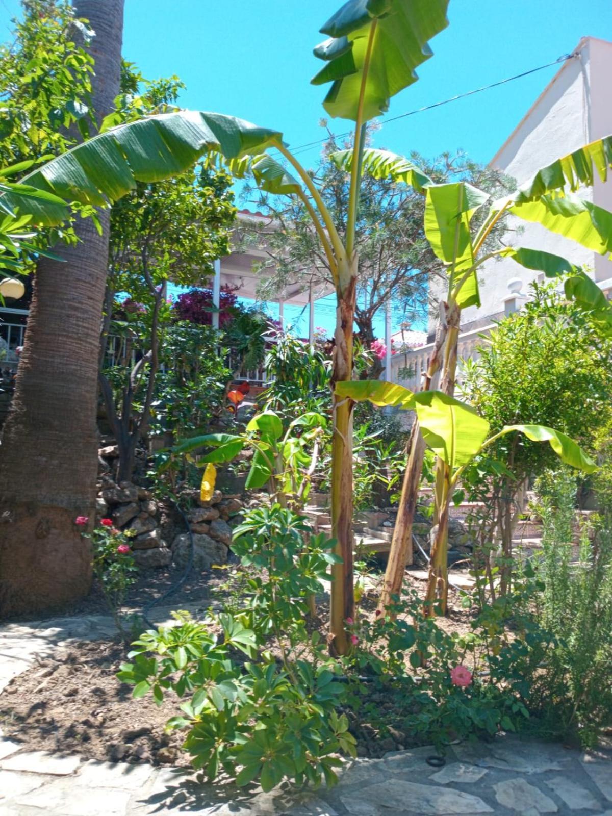 Puro Mar Y Sol Villa Estepona
