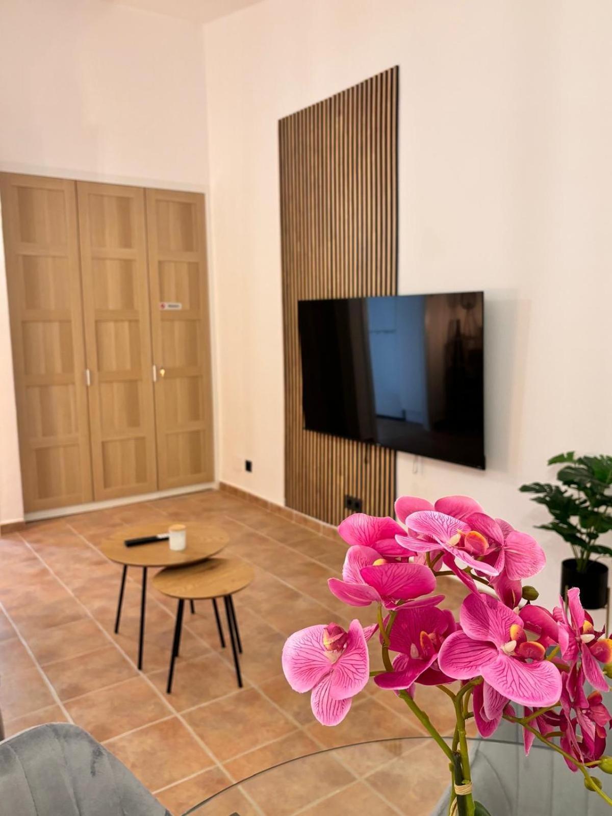 Apartamento Seghers Playa Y Sol *