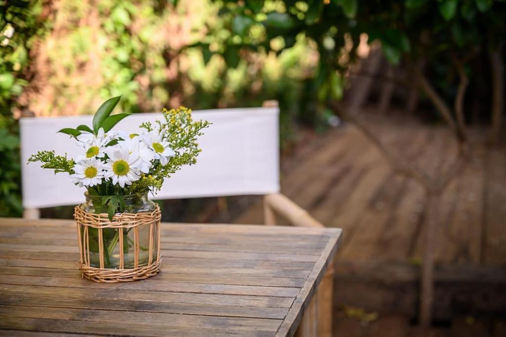 Jasmines The Perfect For Relaxation And Chilling Villa *