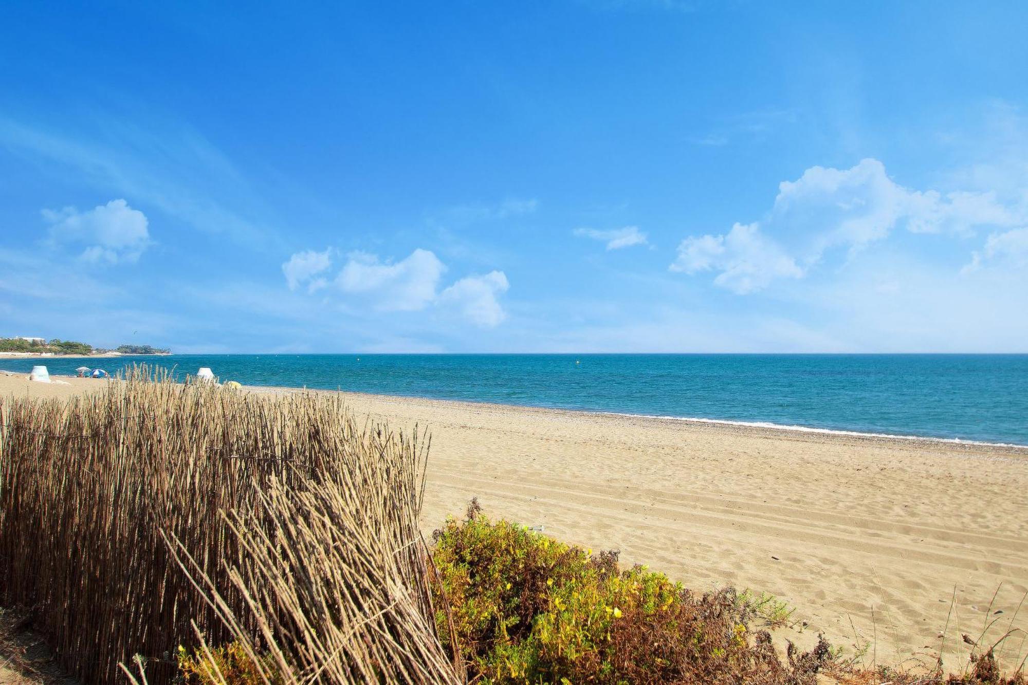 1072 Beachfront El Paraiso Retreat With Pool & Bbq