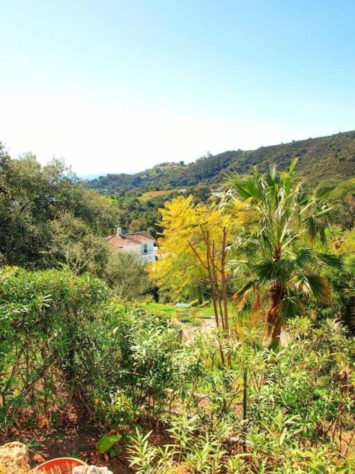 4 Bed Private Pool Bermeja Villa