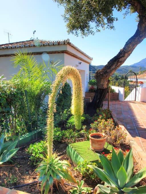4 Bed Private Pool Bermeja Villa Estepona