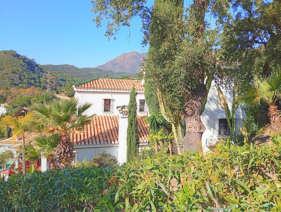 4 Bed Private Pool Bermeja Villa *