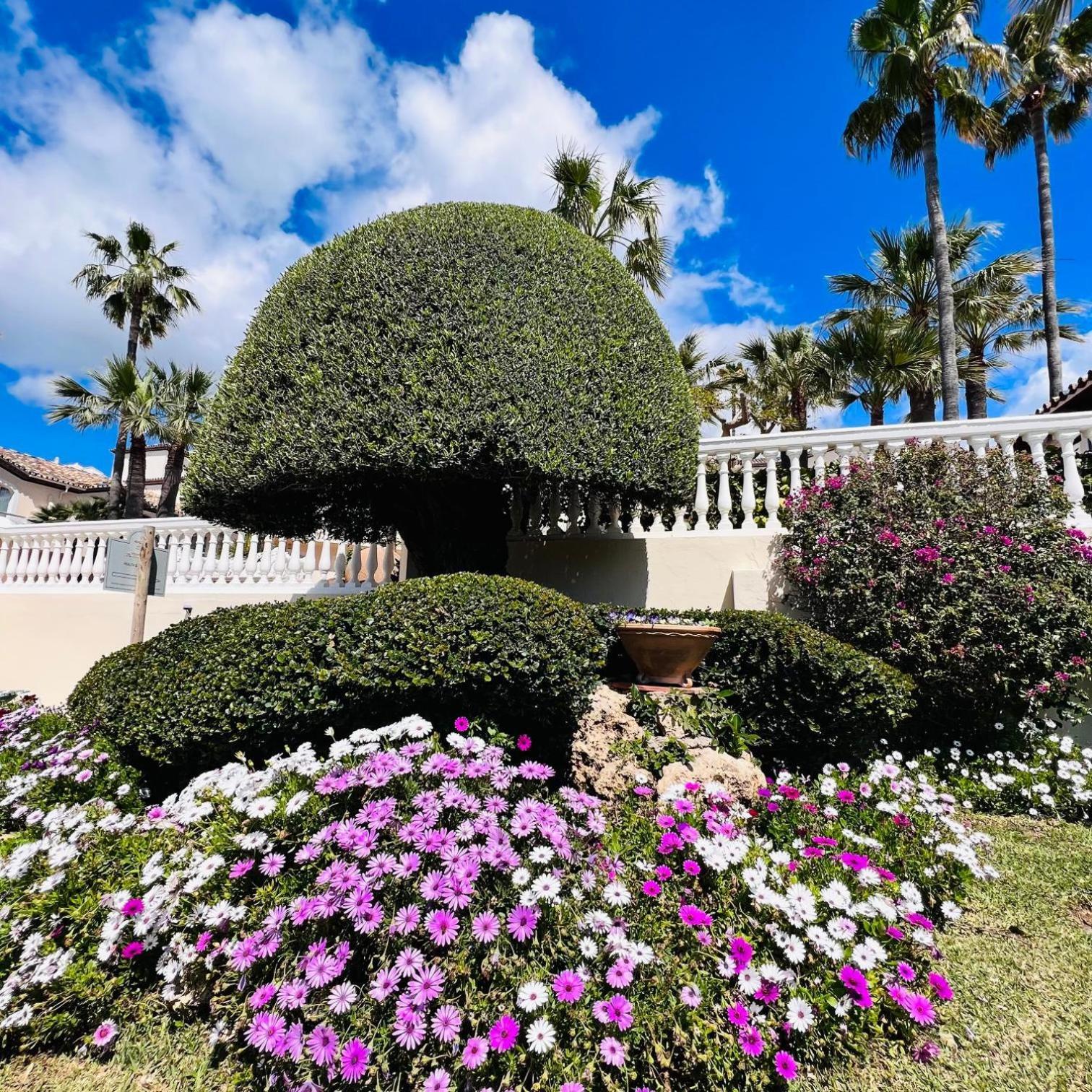 Dunas Grand Luxury (adults Only)
