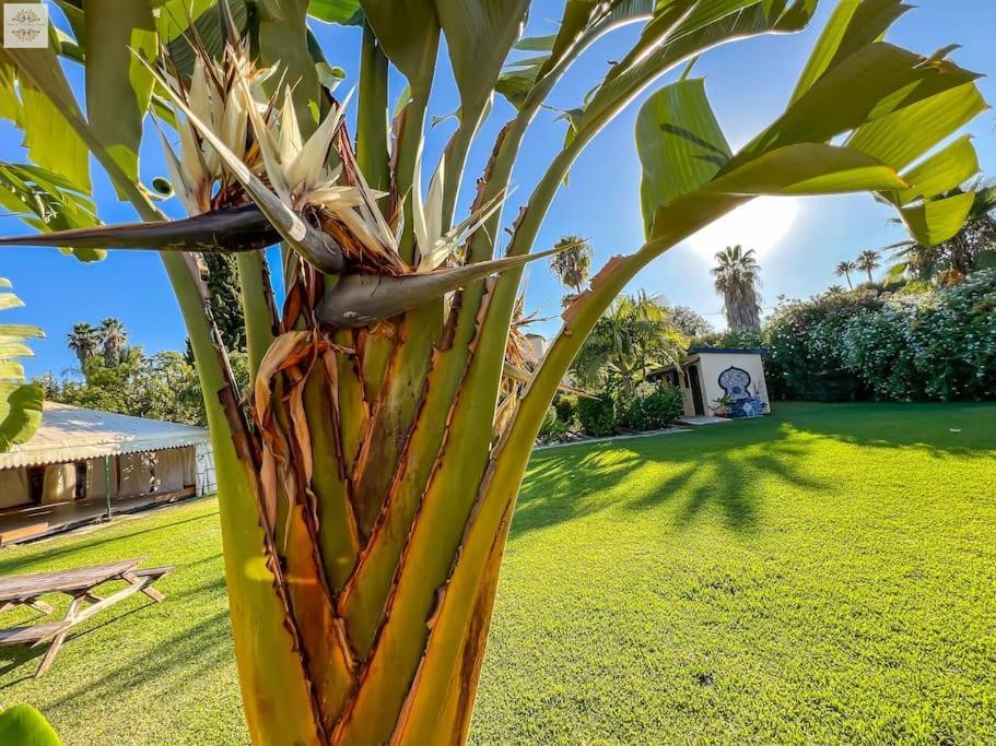 Tierra Sana Estepona