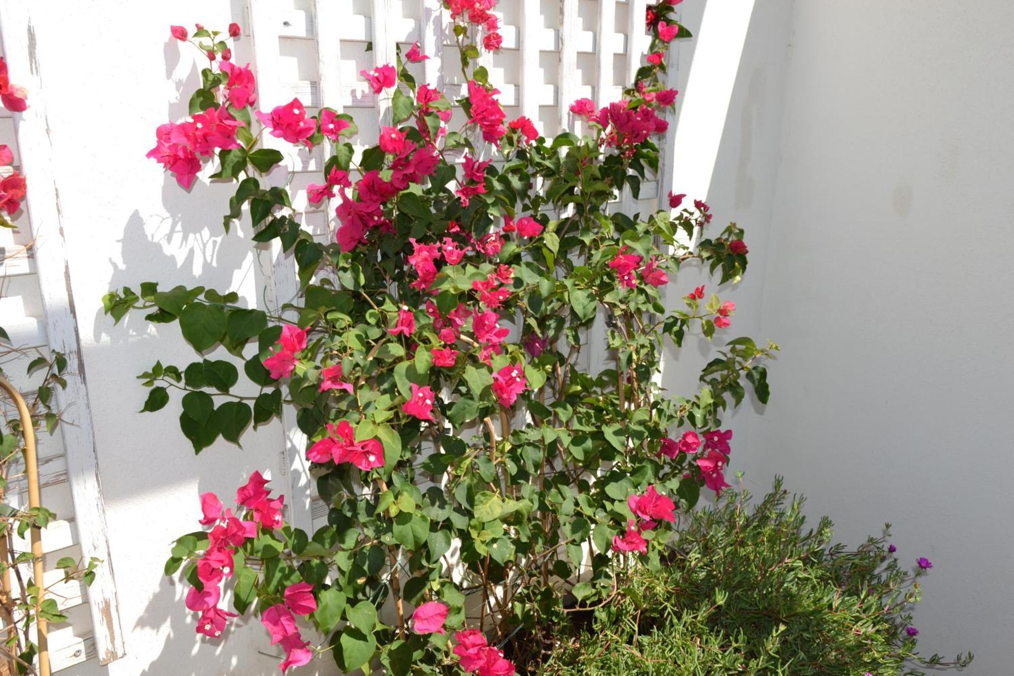 Rsh14a - Terrace With Hot Tub And Fantastic Views Estepona