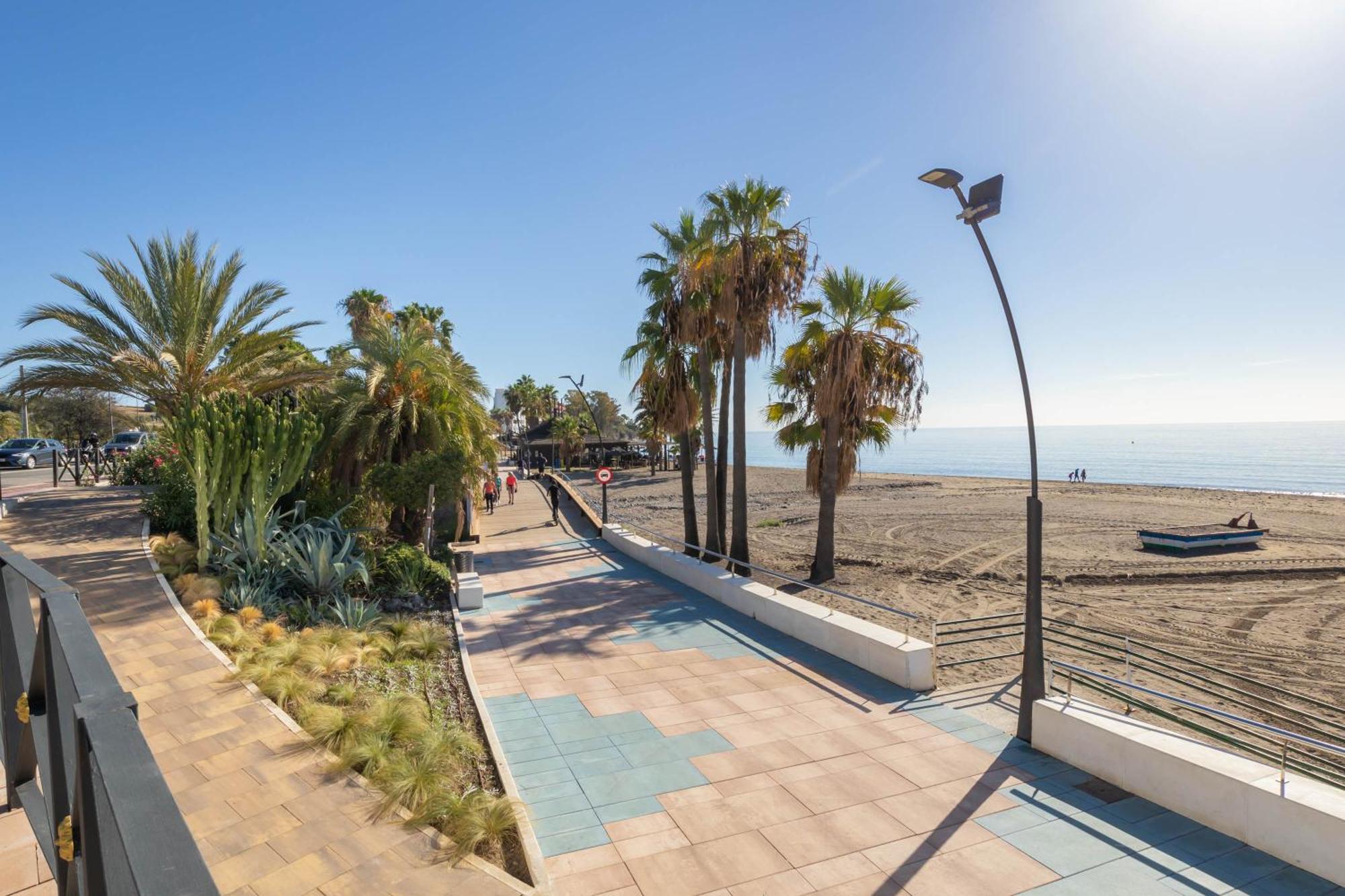 Wellingtonia I * Estepona