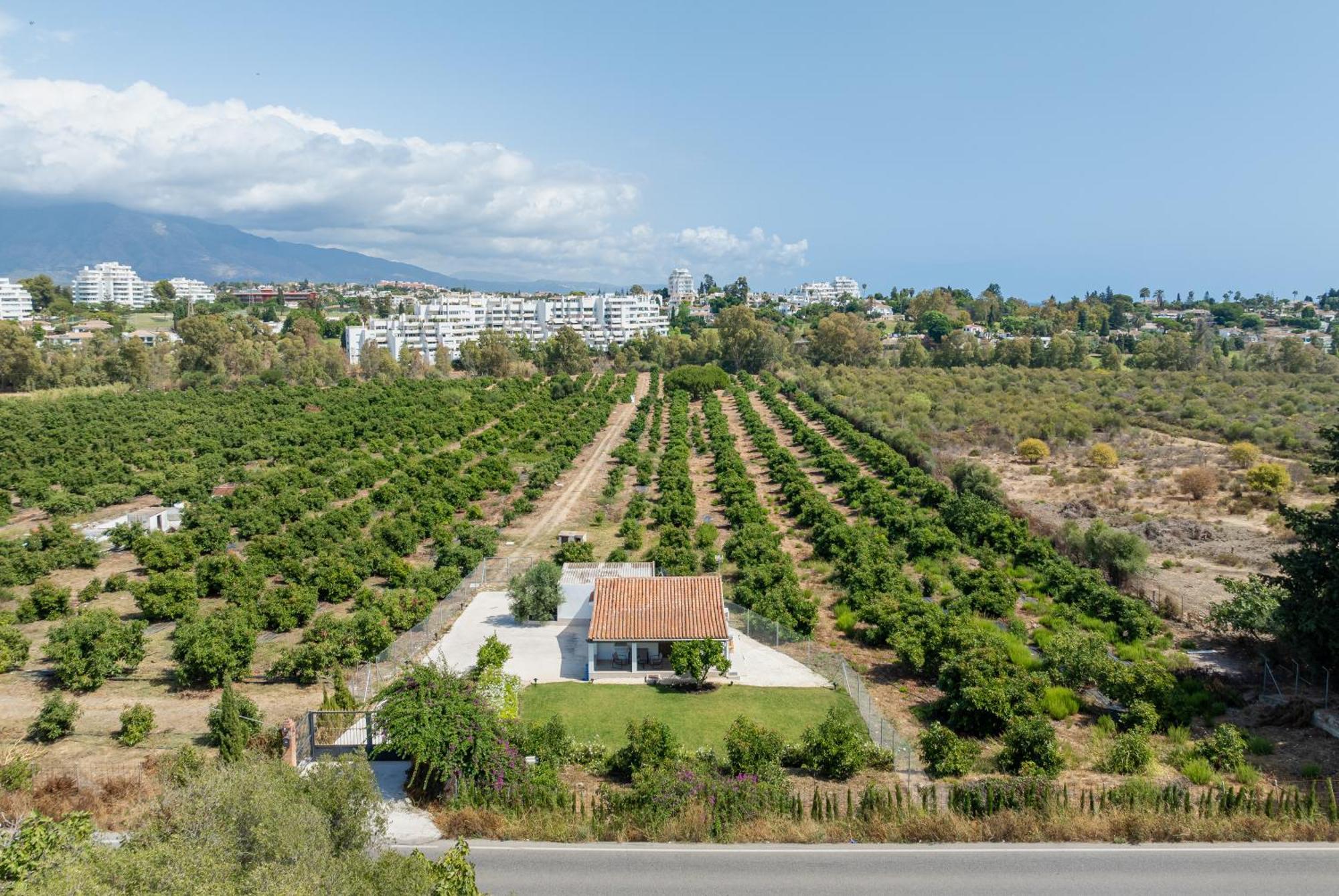 Casa De Aguacates Entre Marbella, Y Benahavis