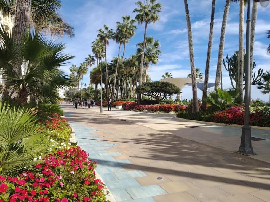Luxurious South-facing 2 Bdr Penthouse Vanian Gardens With Seaview - Gaya Alegia I Apartment *