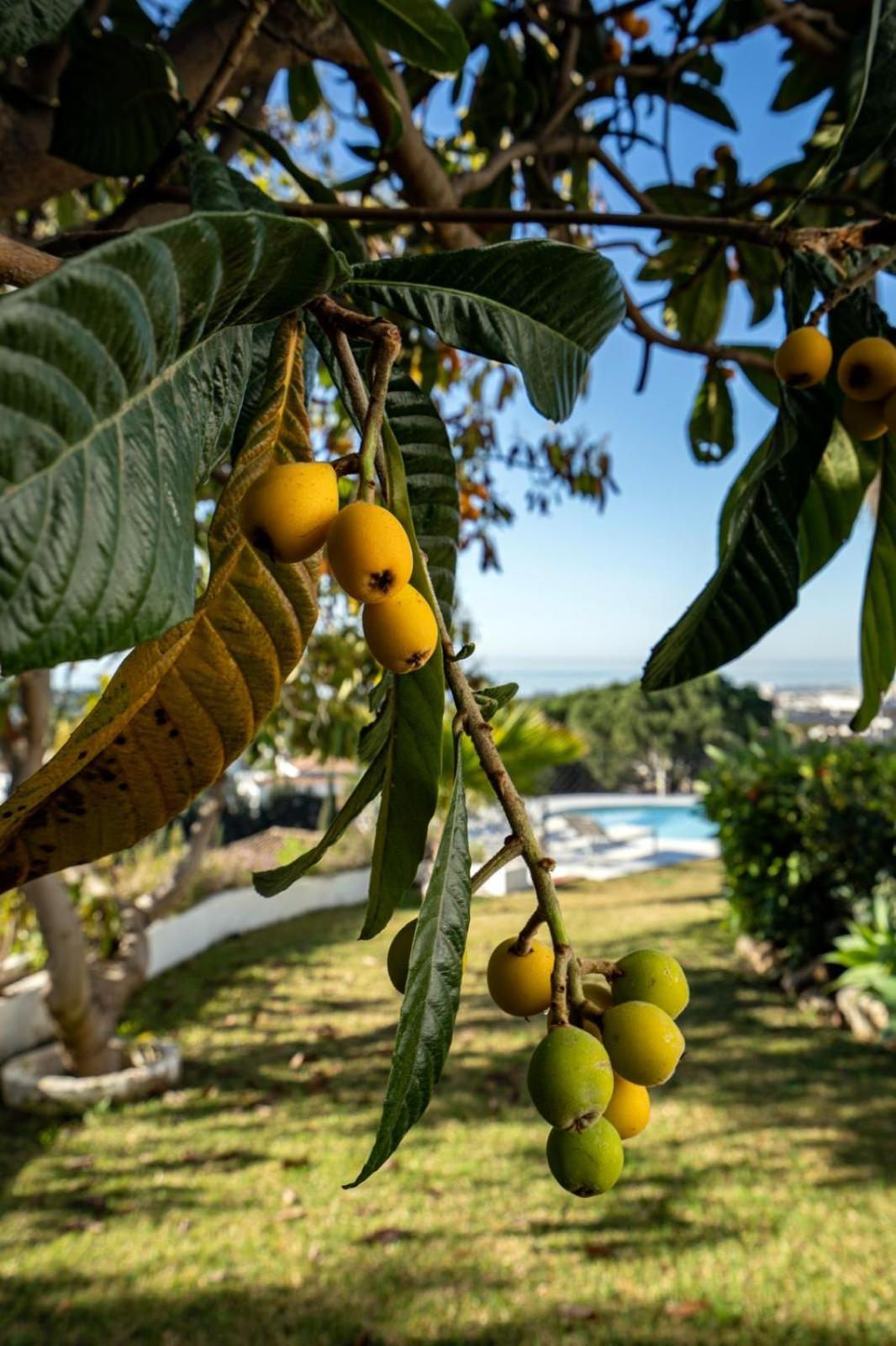 Villa De Luxe Avec Vue Epoustouflante *