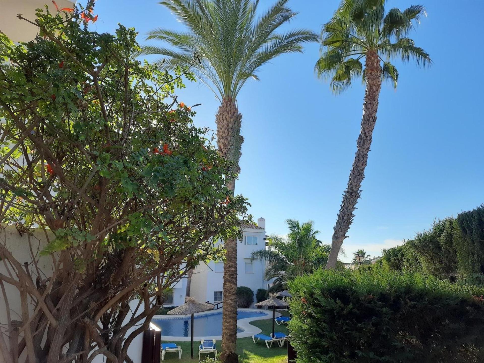 Apartment Gemuetliche In Bel Air Estepona