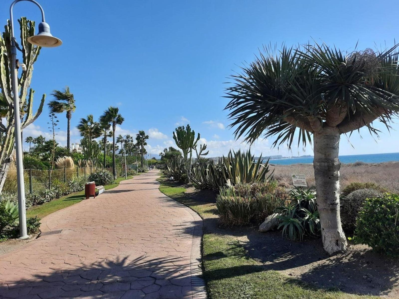 Apartment Gemuetliche In Bel Air Estepona