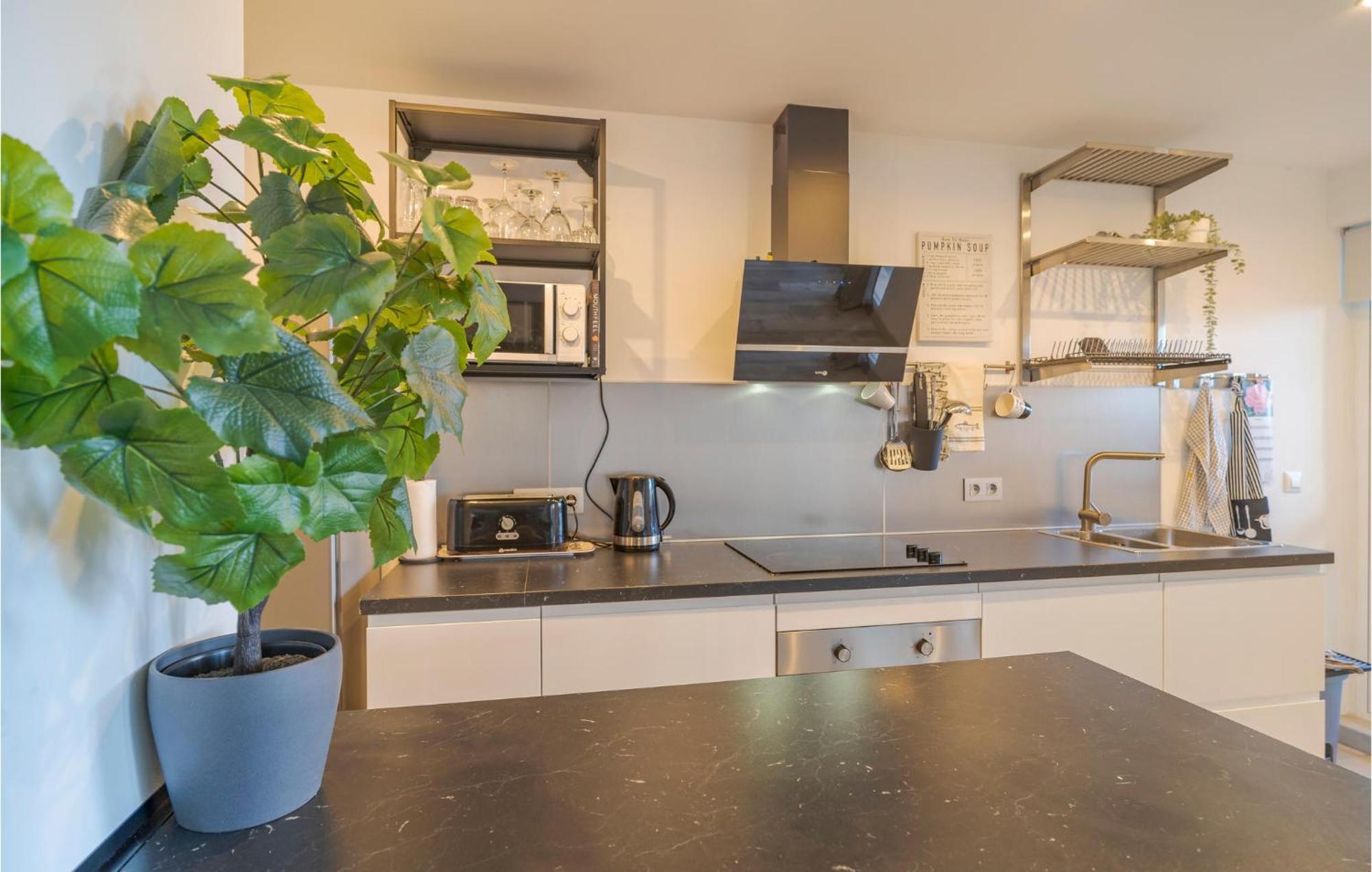 Apartment Gorgeous In With Kitchen