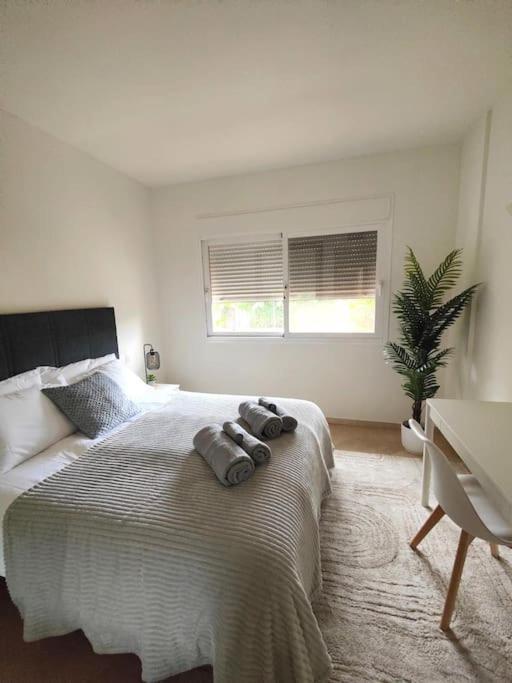 Apartment Costalita Direct Access