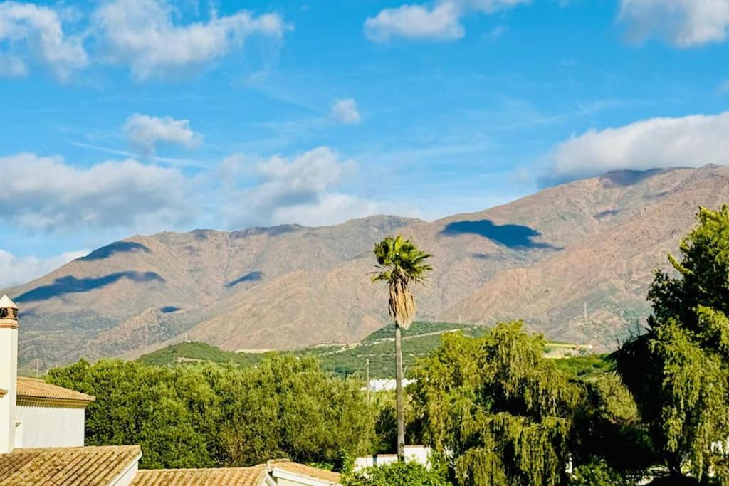 80 Apartamento Estepona