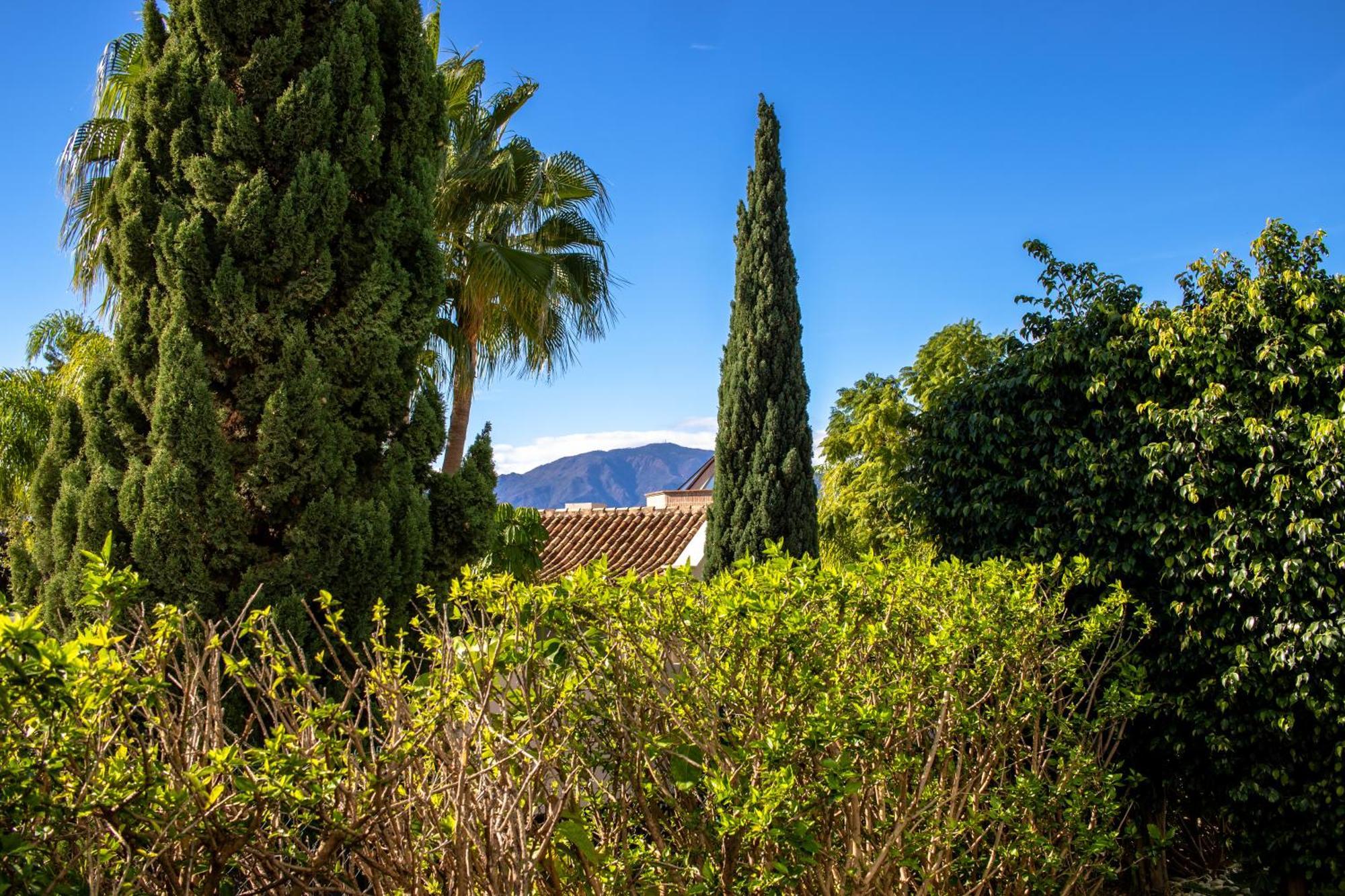 Bajo Encantador Y Familiar En Benahavis * Estepona