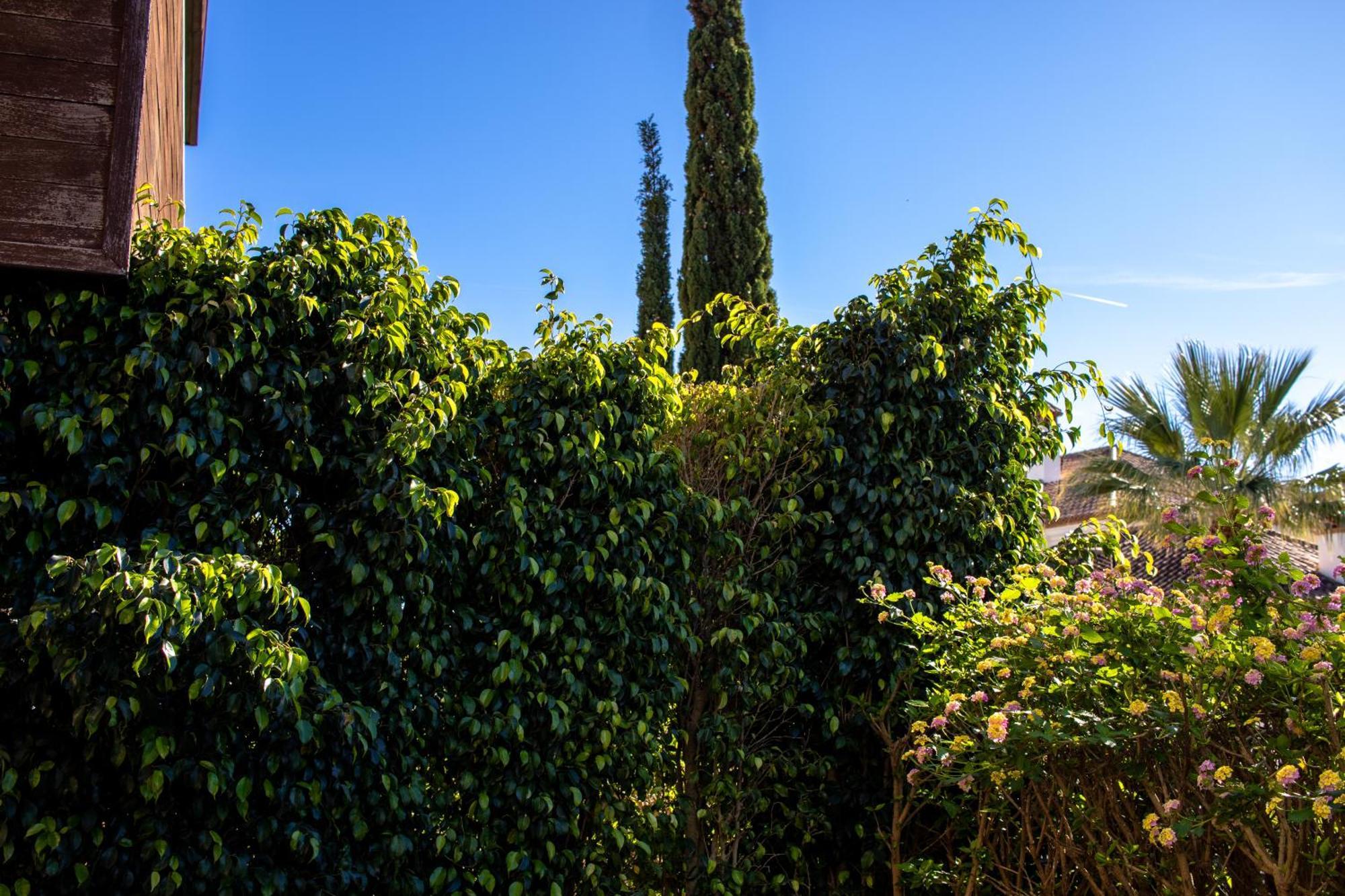 Apartment Bajo Encantador Y Familiar En Benahavis Estepona