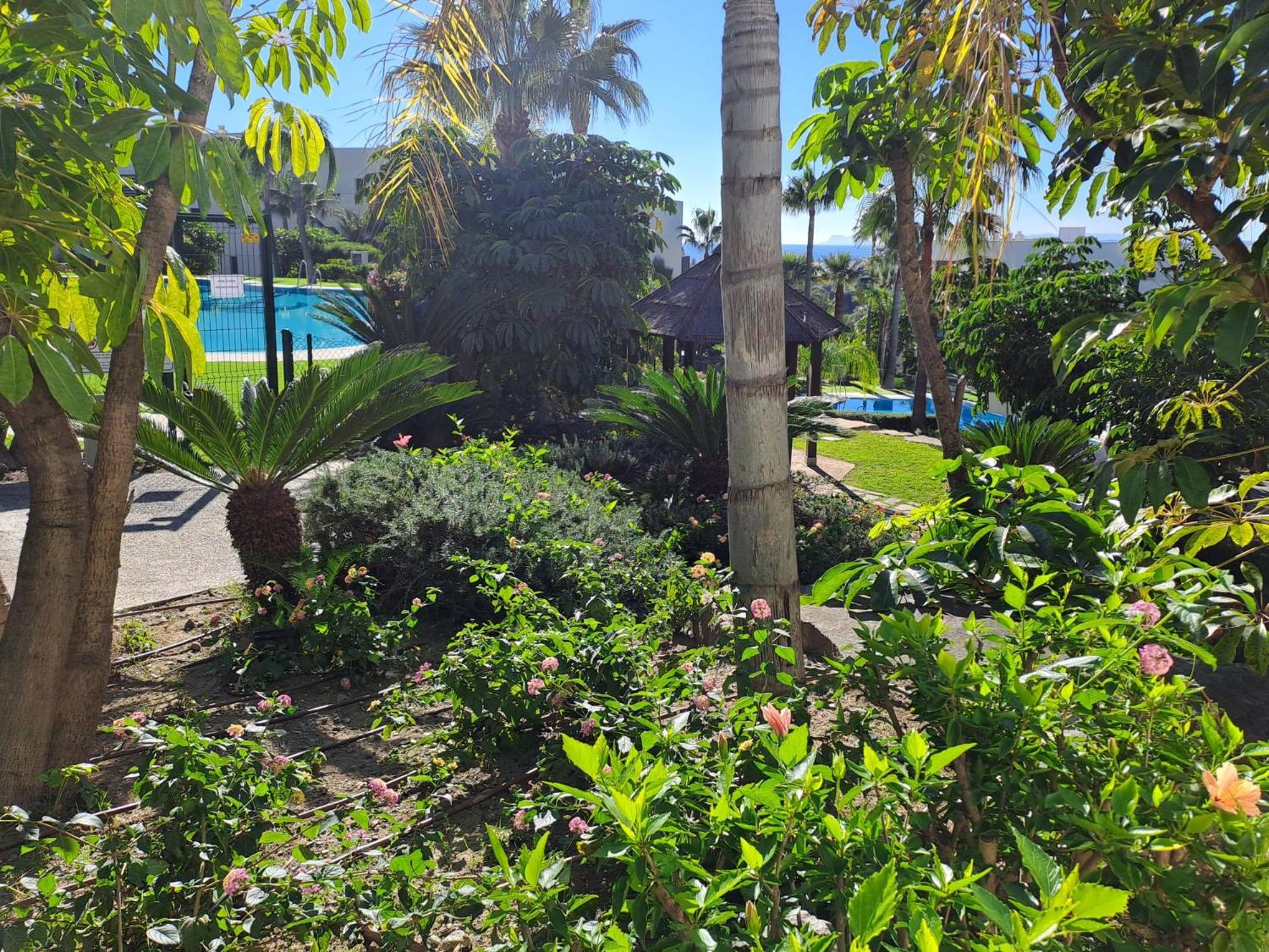 Noctua Flamingos 027 Apartment Estepona