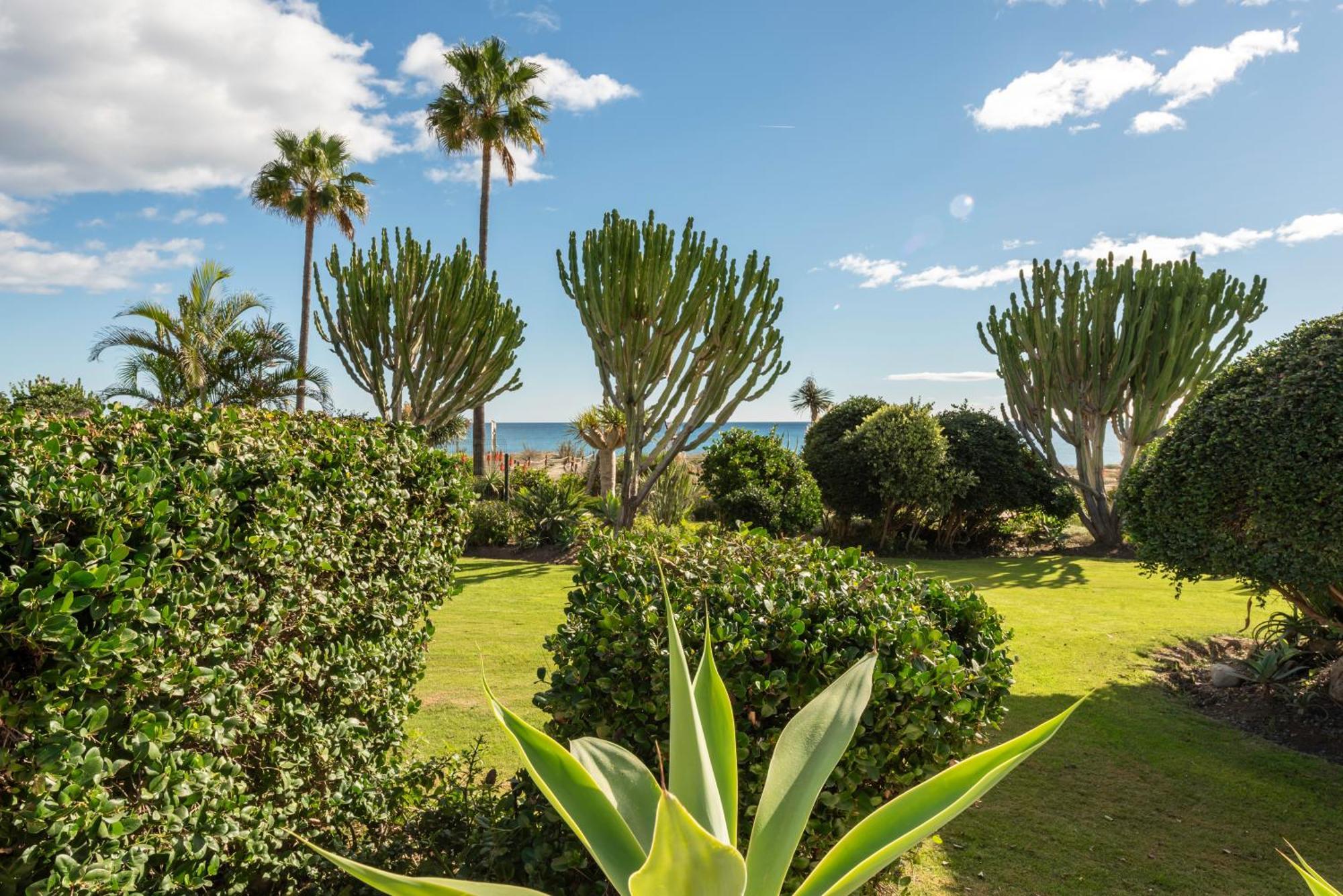 Apartment Afrodite - Frontline Estepona