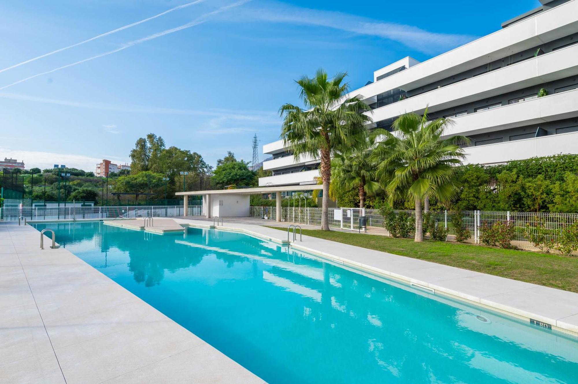 Wellingtonia Estepona