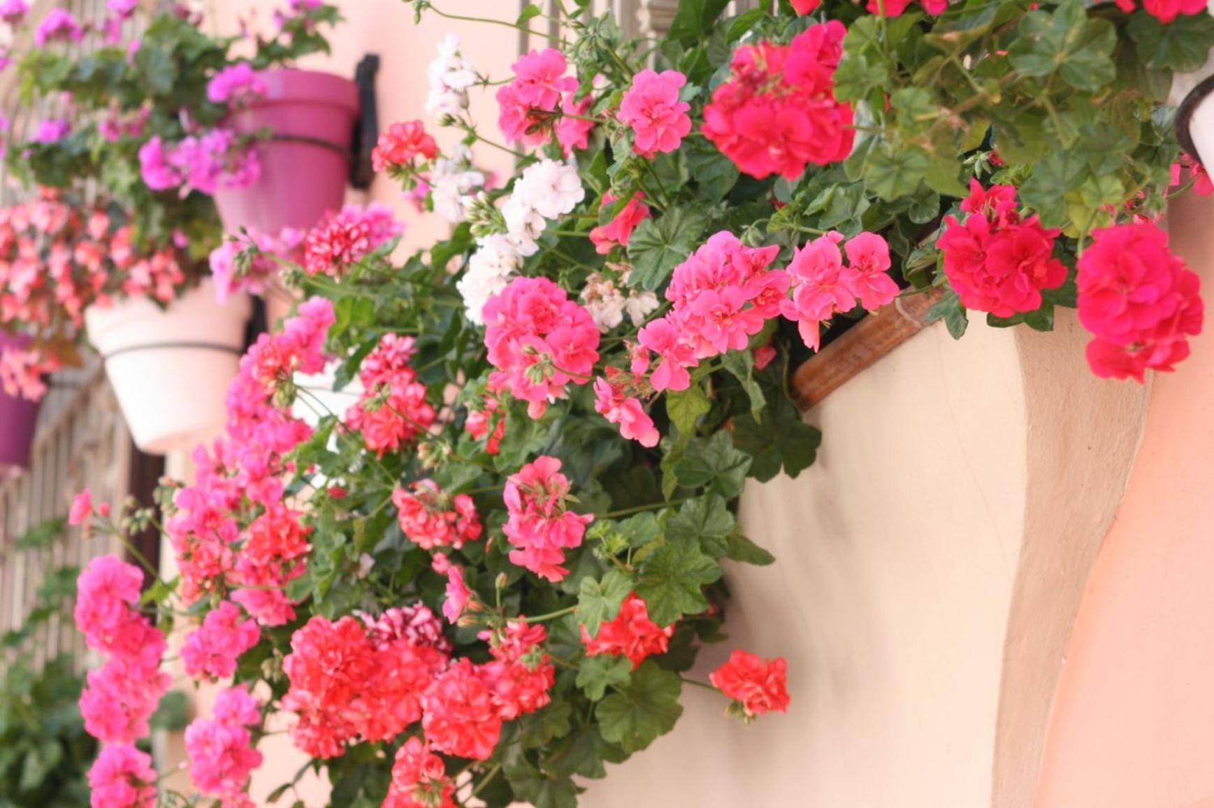 El Pilar Andalucia Estepona