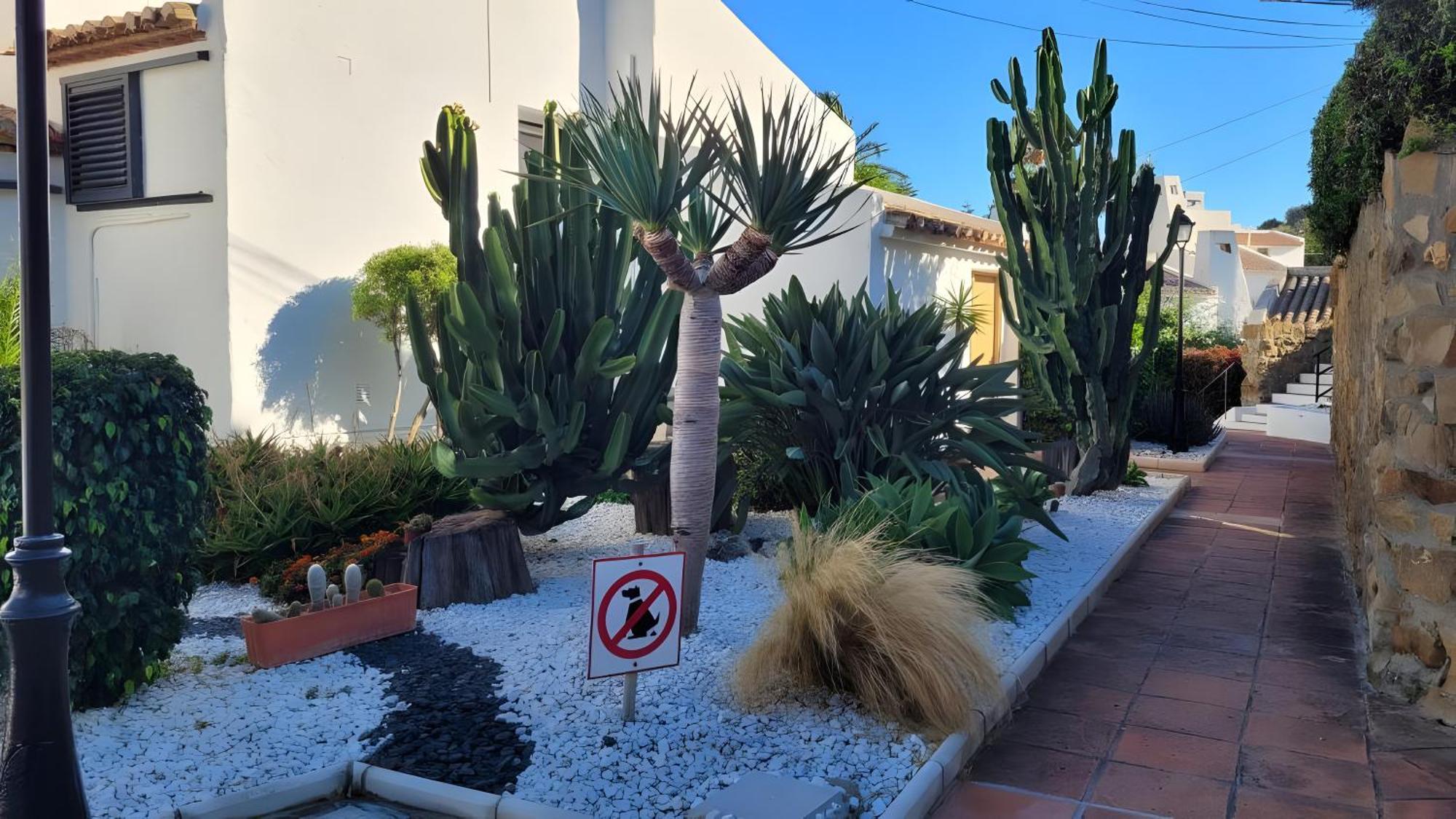 Ola De Mar -