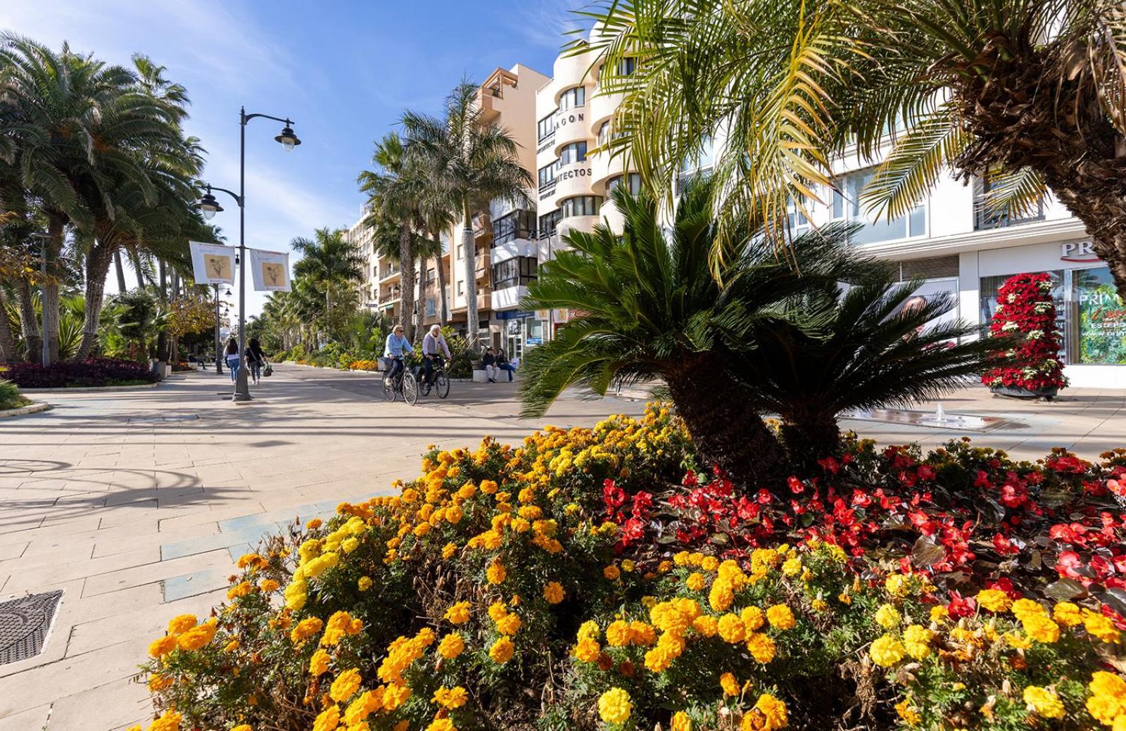 Apartment Old Town With A Sea View Os Estepona