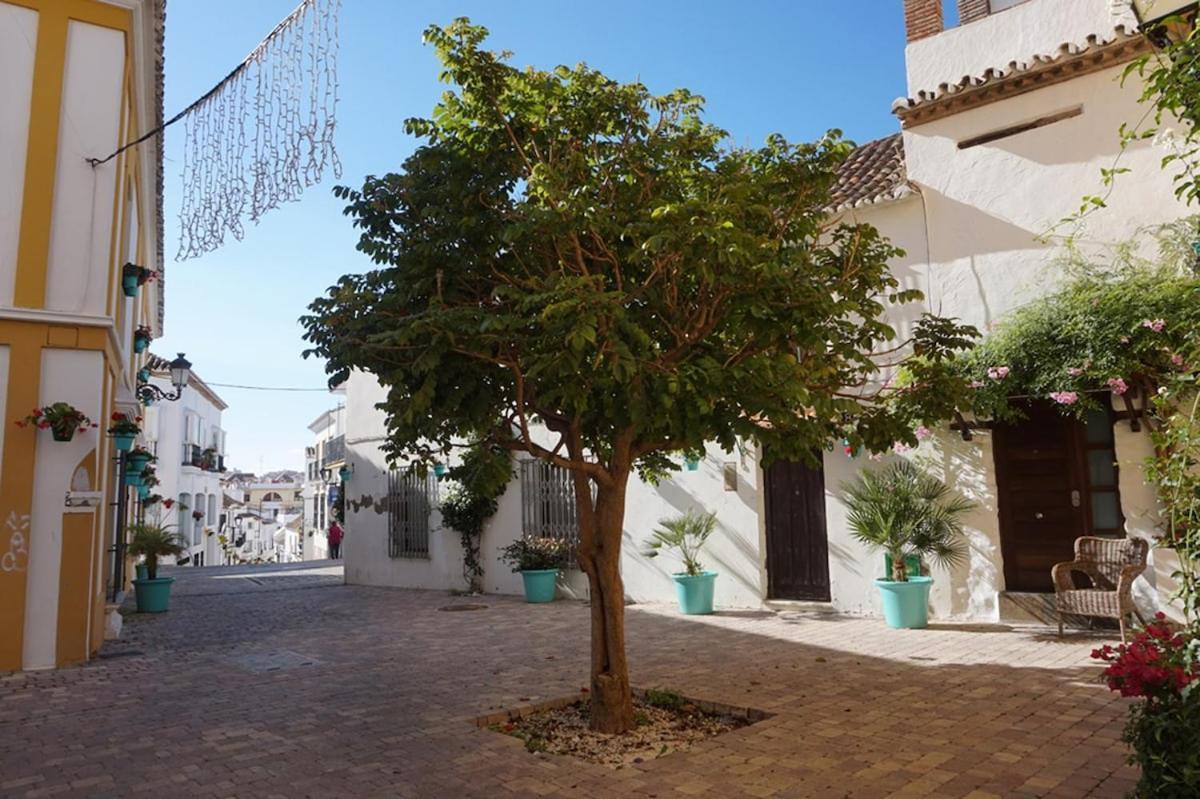 Centro Castillo San Luis Apartment Estepona