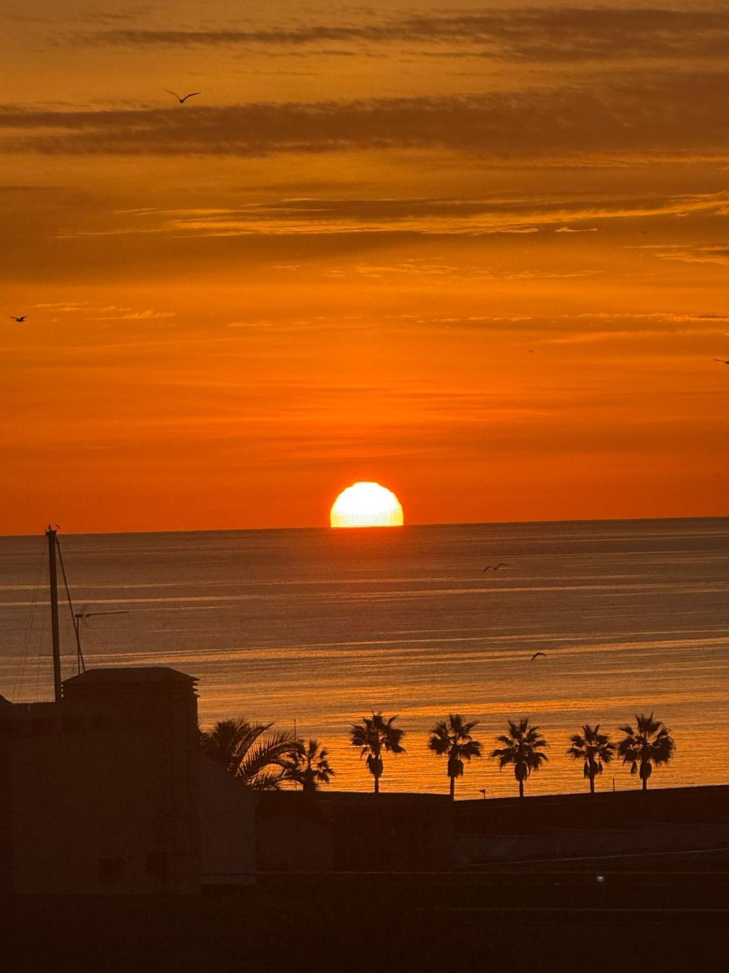 Intermobiliaria - Puerto Alto B2 14 Estepona
