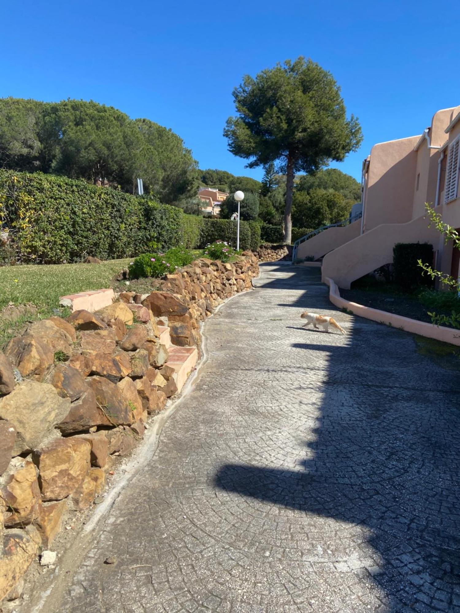 Casa De Madera 2 * Estepona