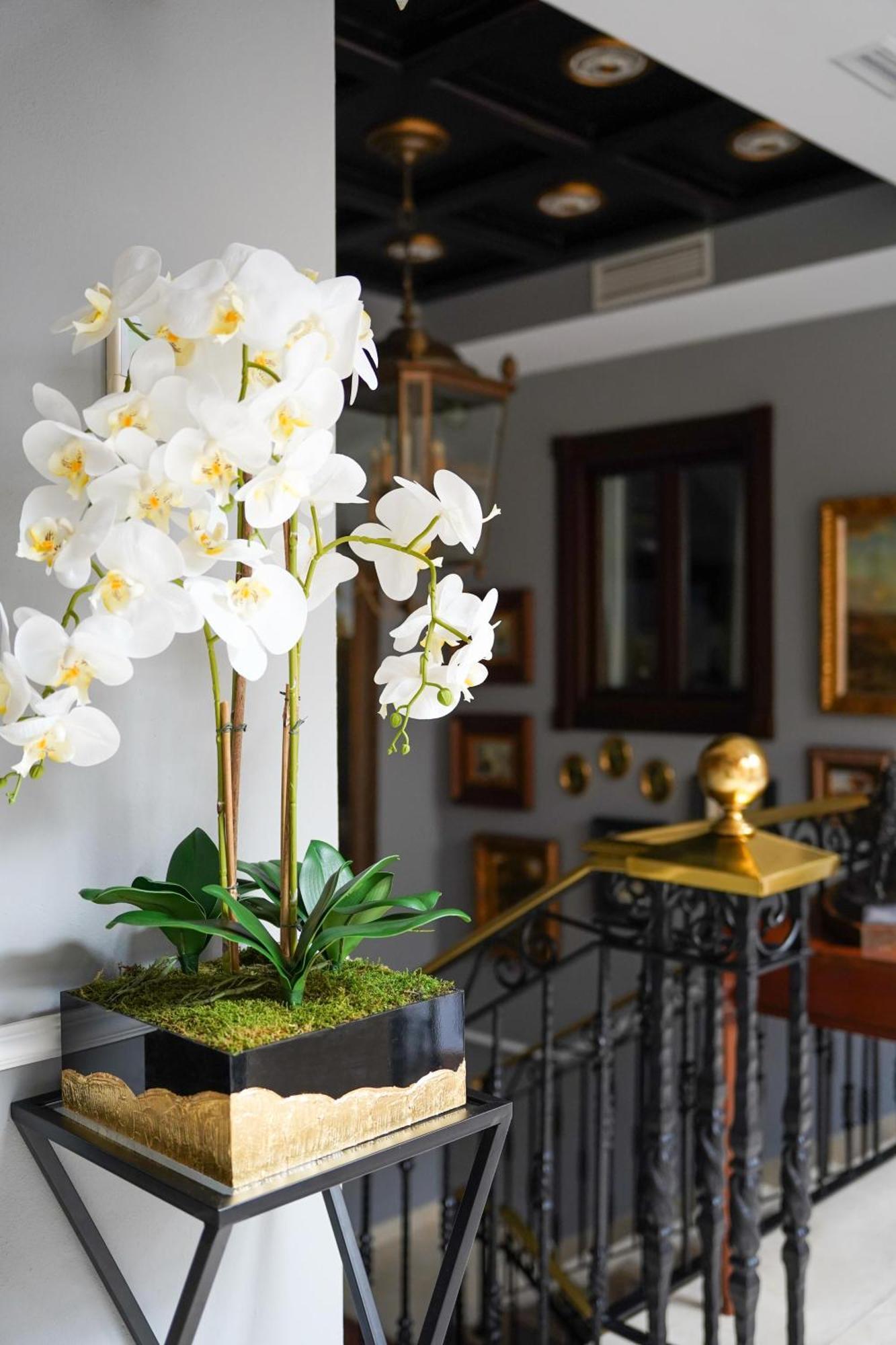 Boutique Casa Veracruz 4* Estepona