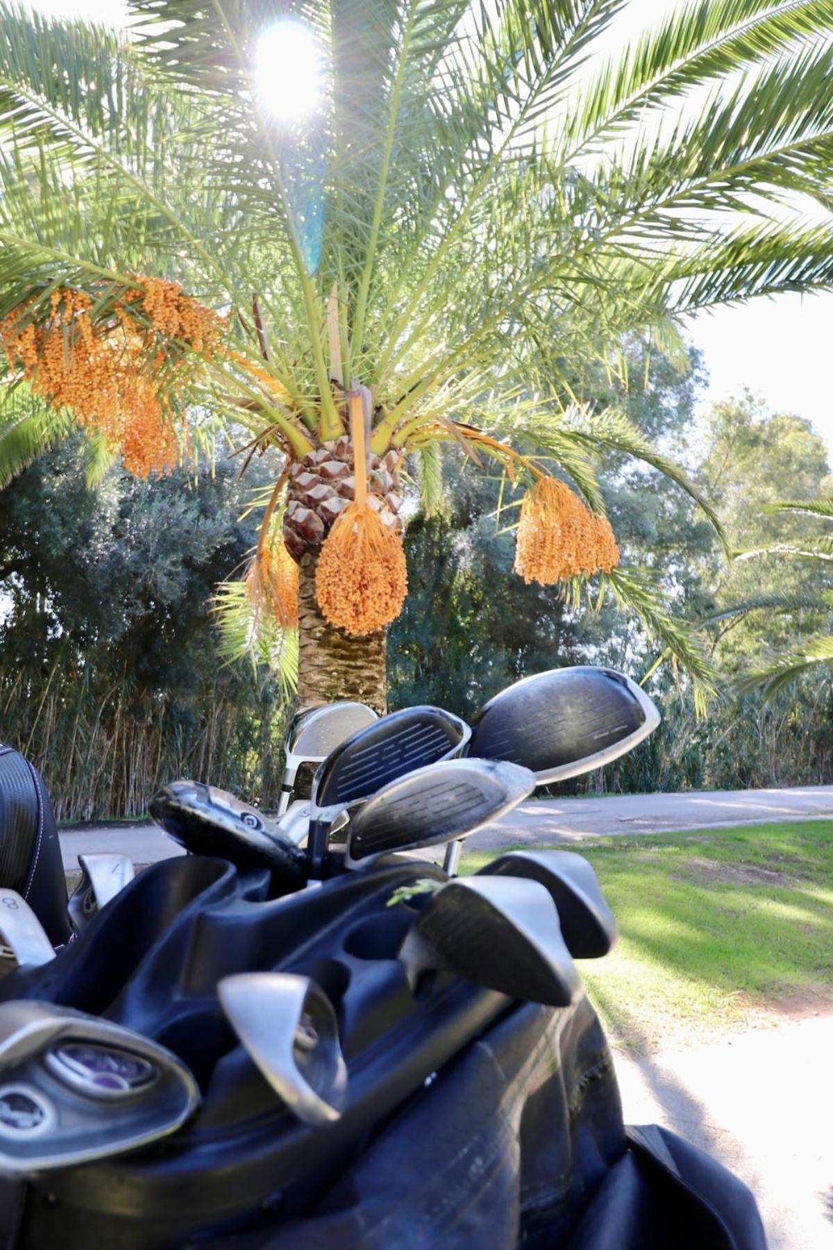 Golf Resort, Pool, Bbq, Massive Sunny Terrace With Mountain Views Estepona