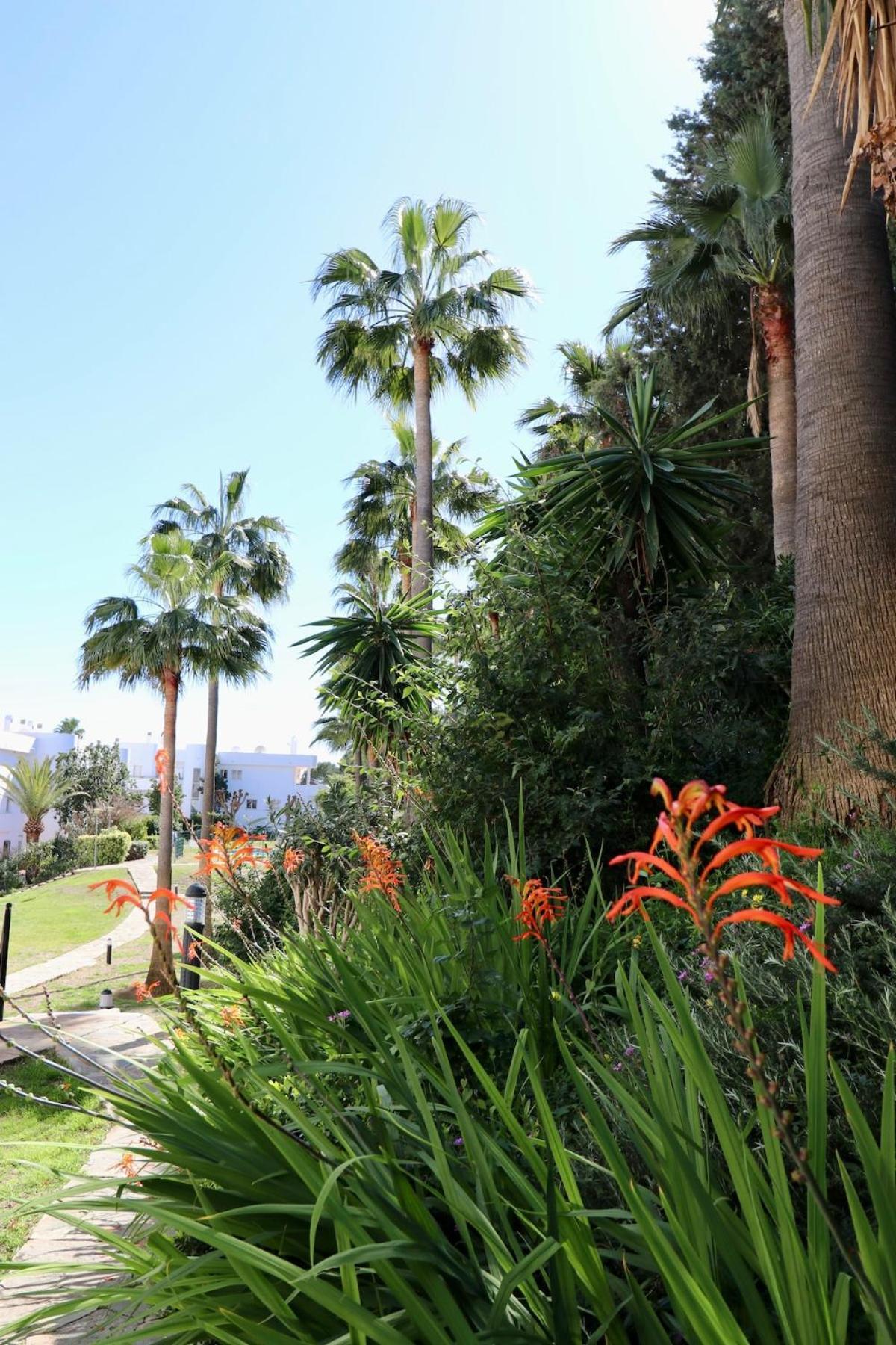 Golf Resort, Pool, Bbq, Massive Sunny Terrace With Mountain Views * Estepona