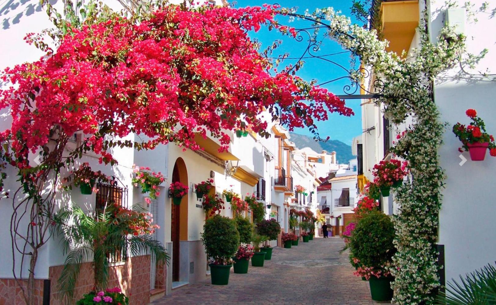 Mirador Del Puerto Apartamento Estepona