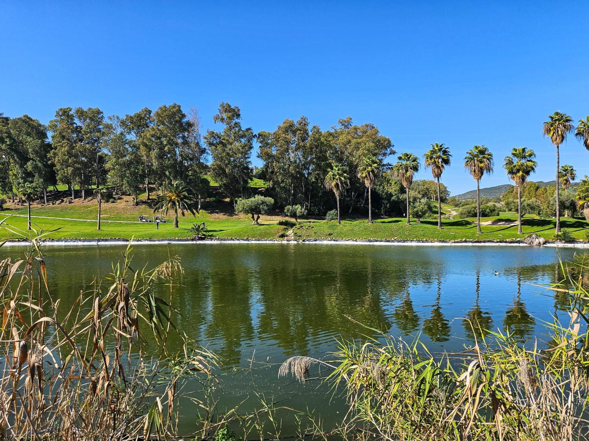 Two Bedroom In Sunny Golf, Apartment *