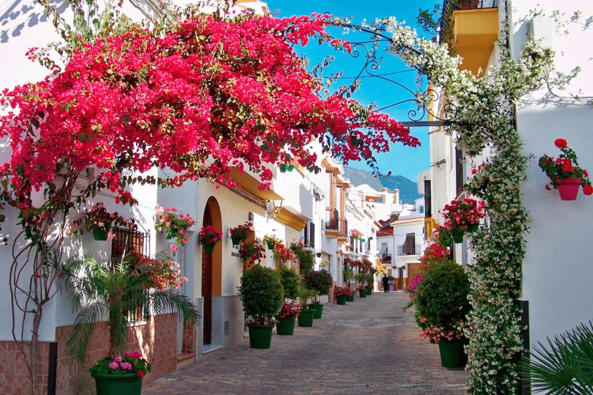 Kampaoh Estepona