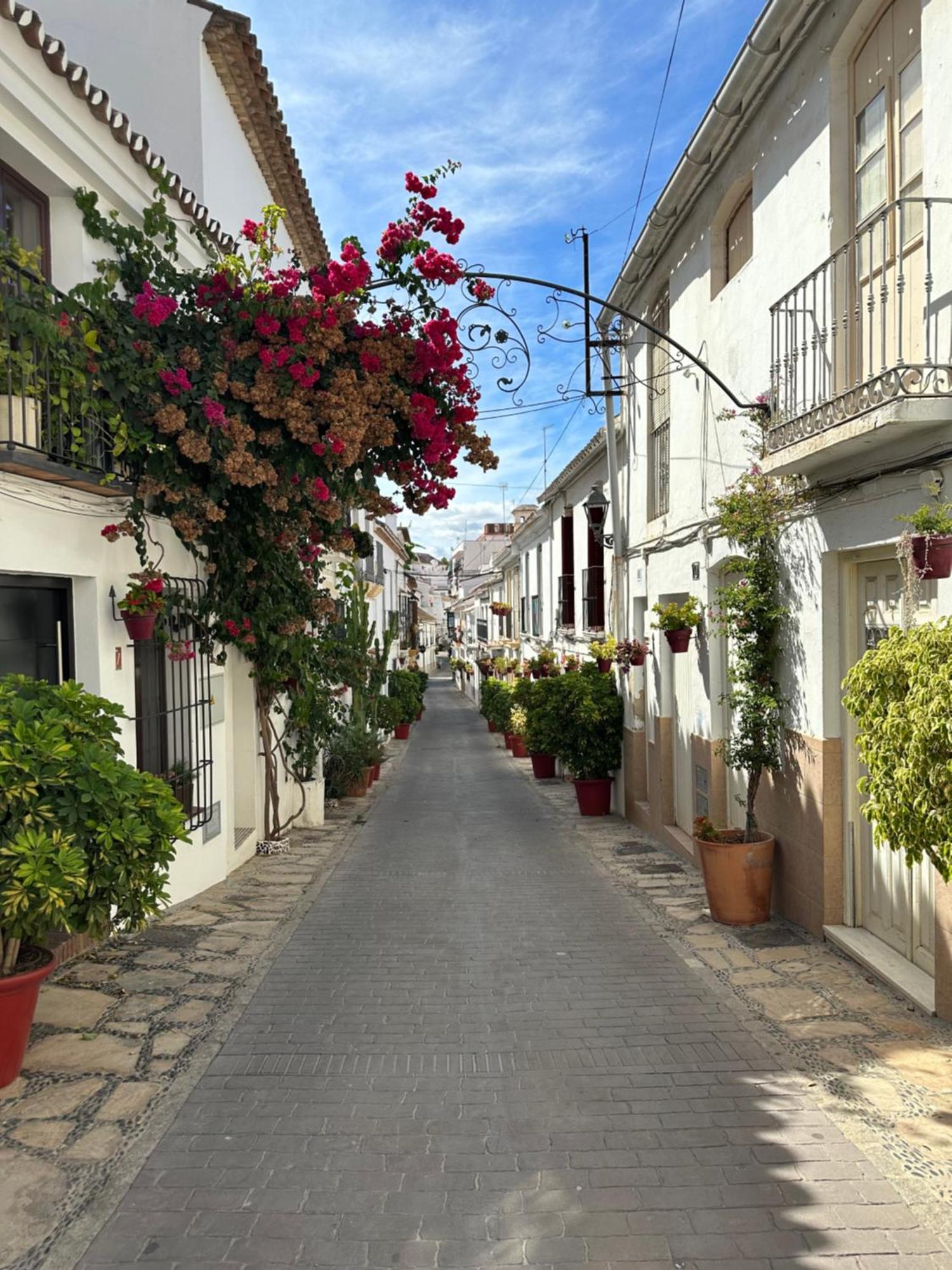 3br Frontline La Rada Estepona