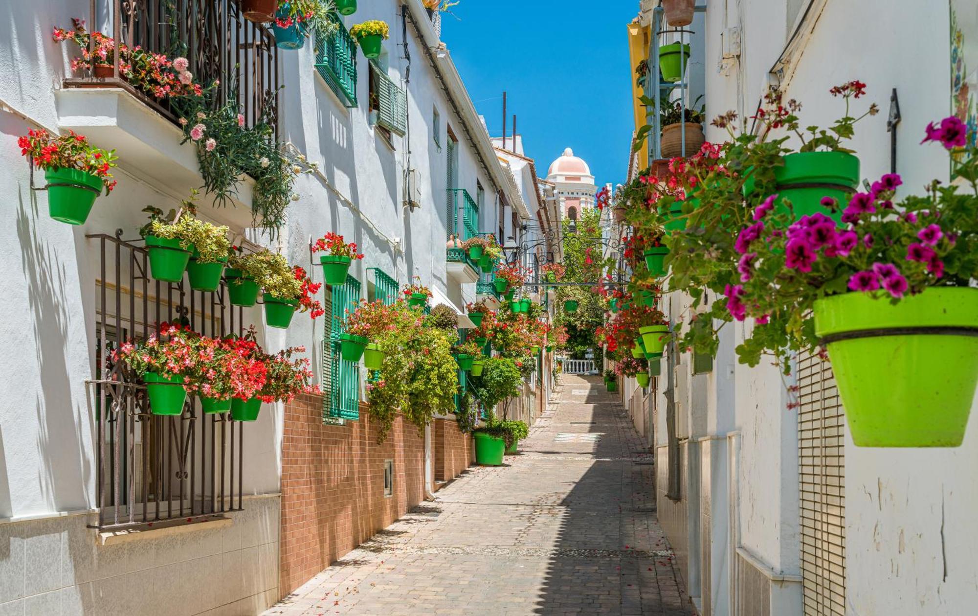 Villa Violeta Old Town