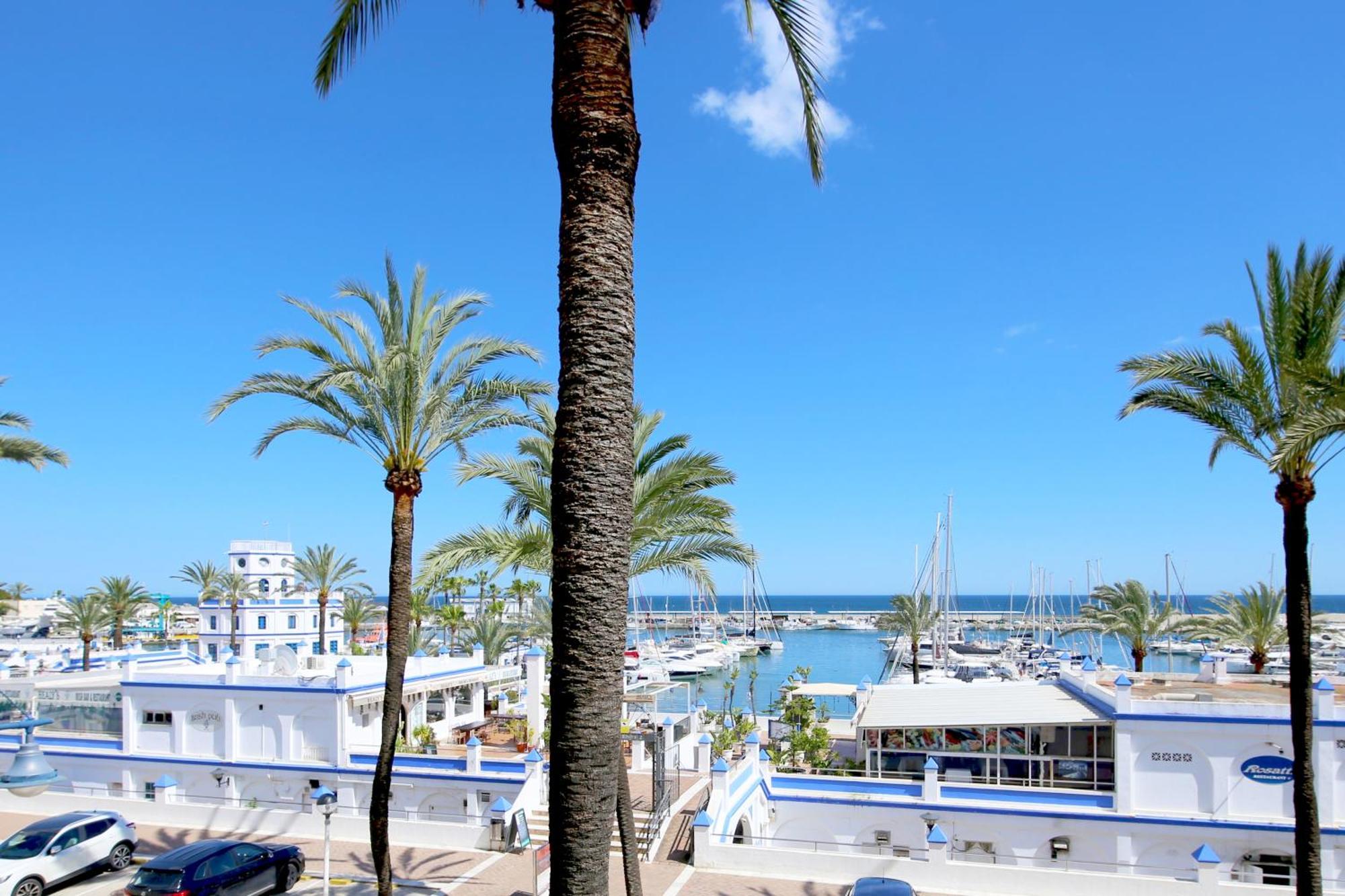 Sheps * Estepona