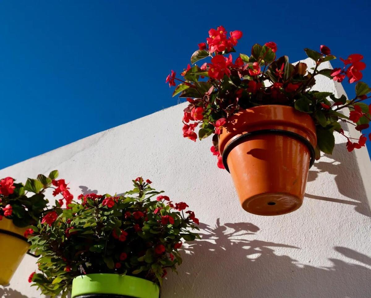 Modern 4-person With Pool & Indoor Parking Apartamento Estepona