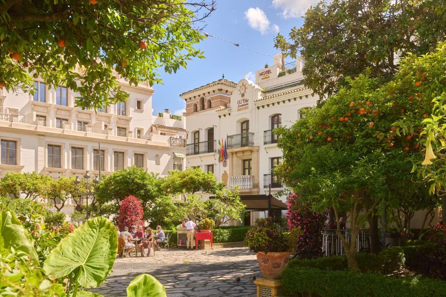 Apartment Casa Platano Estepona