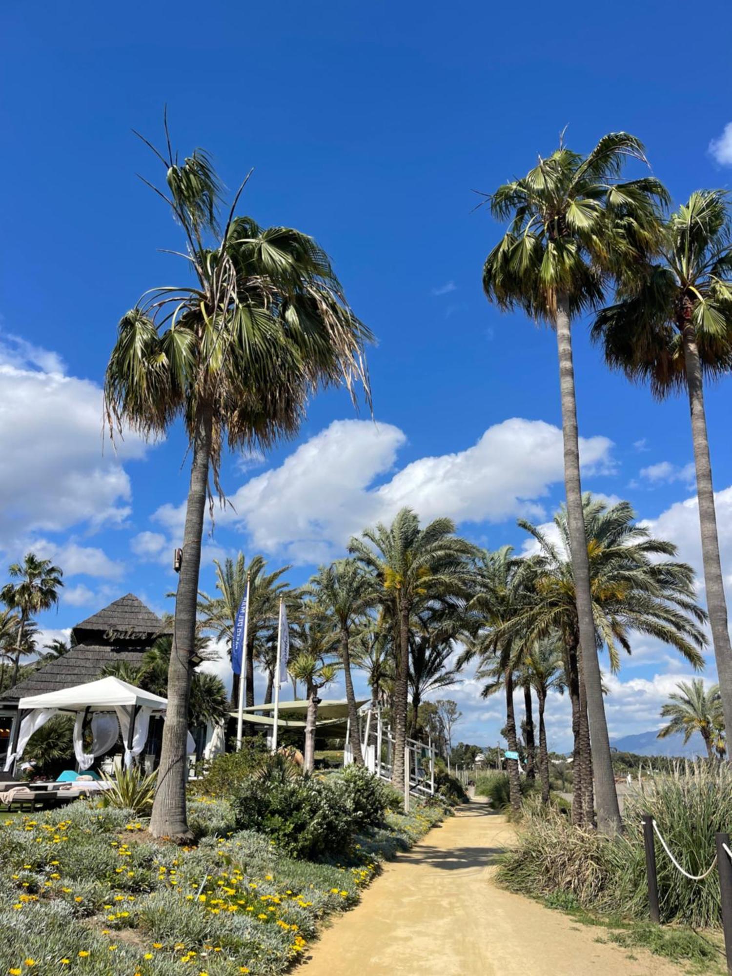Bahia De La Plata Boutique Kempinski