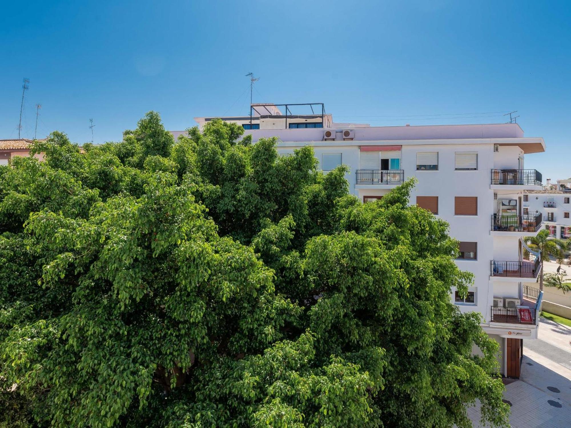 Hanami La Palma Apartamento Estepona