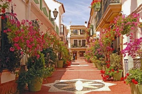 Apartment Alma Estepona