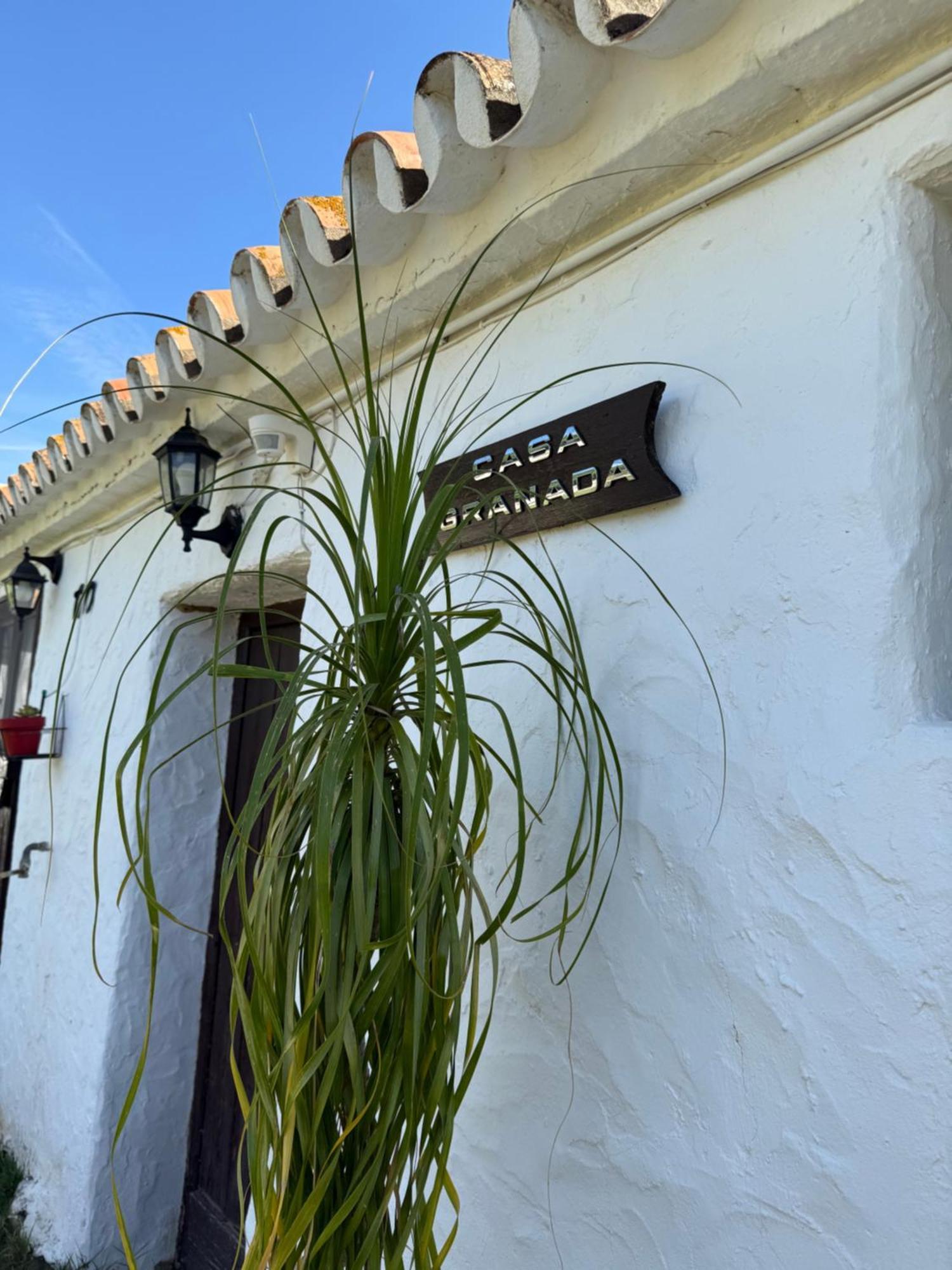 Santa Teresa, Casa Granada Ferienpark Estepona