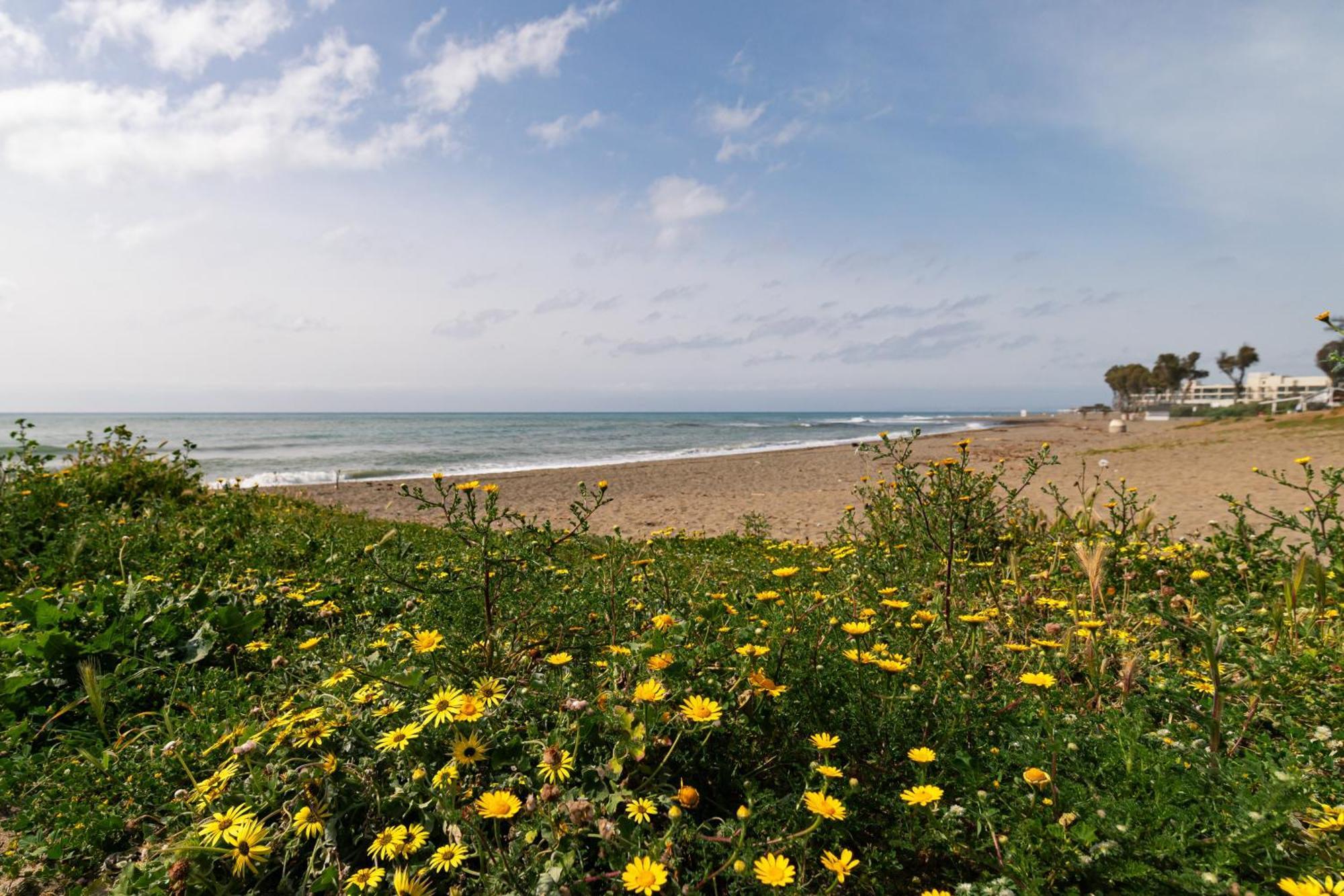 Park * Estepona