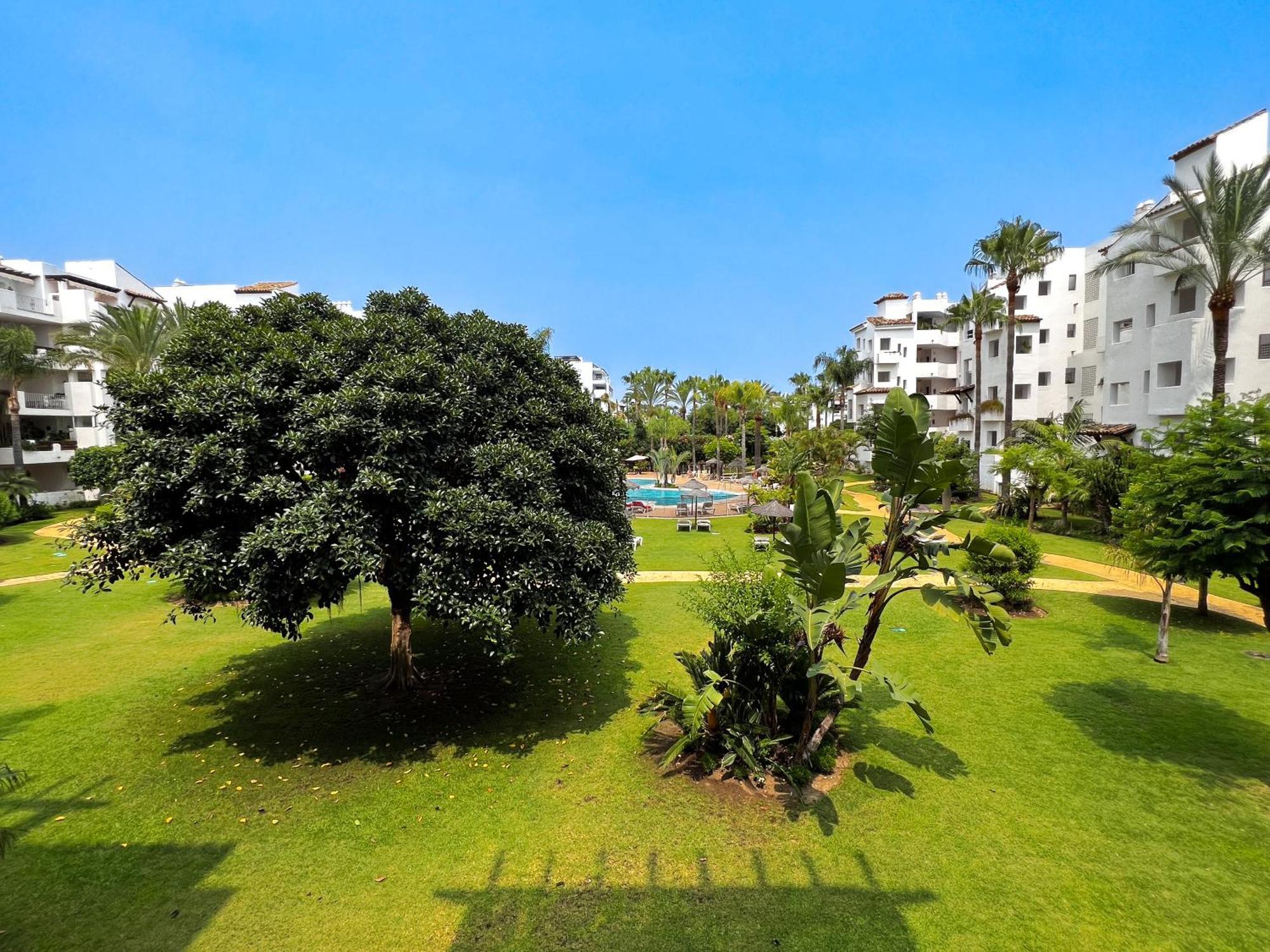 Costalita F - Beachside Appartement *