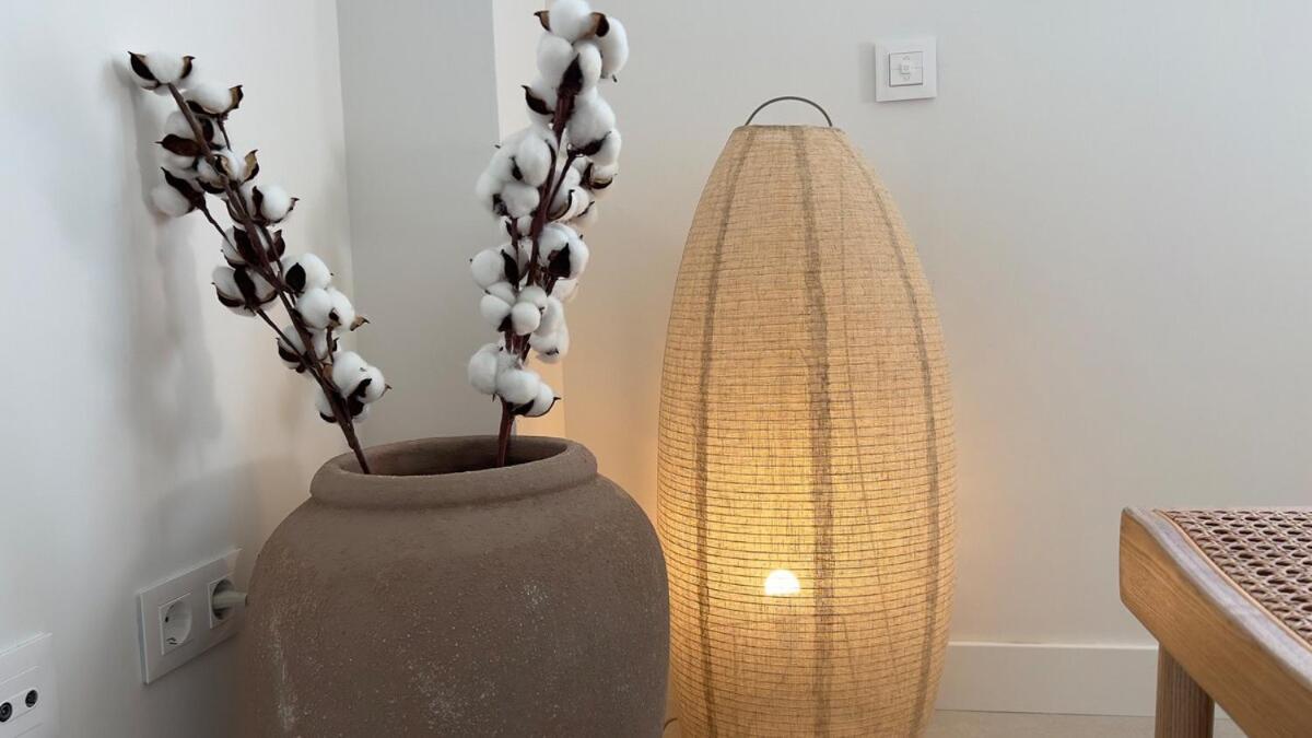 Beautiful 1-bedroom In Appartement